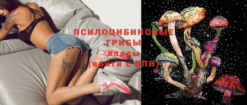 Галлюциногенные грибы Psilocybe  где купить наркоту  Аксай 